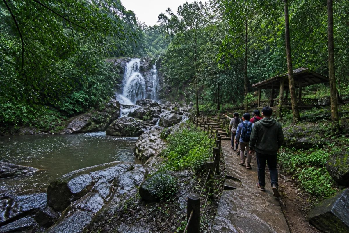 Jharkhand Eco-Tourism PMU Plan Opens New Green Push